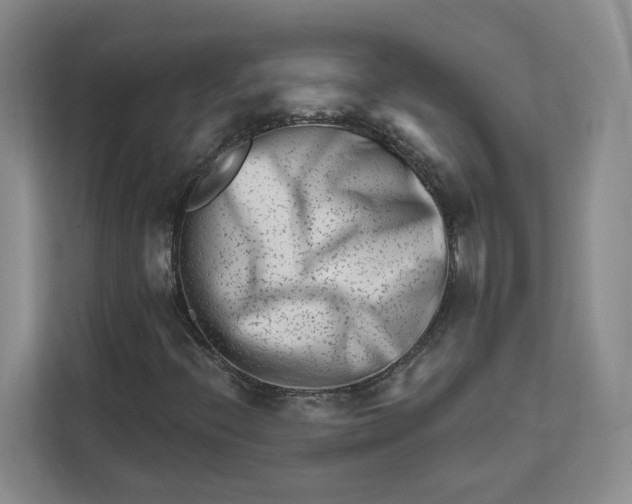 X0000111621396200908071341