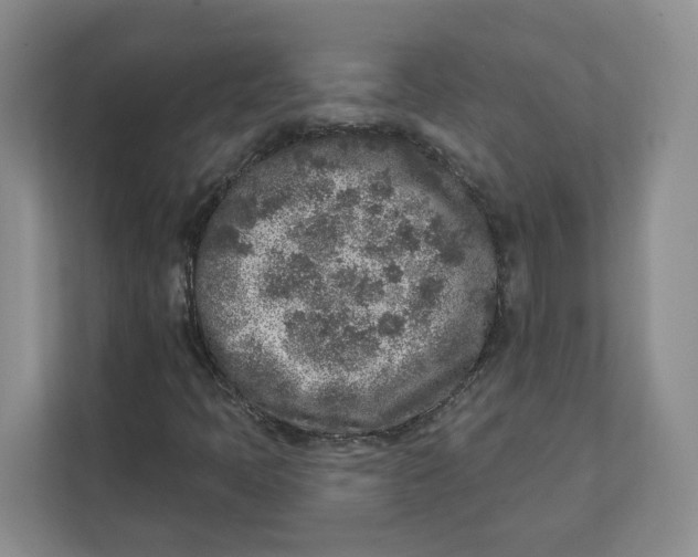 X0000111621397200908071341