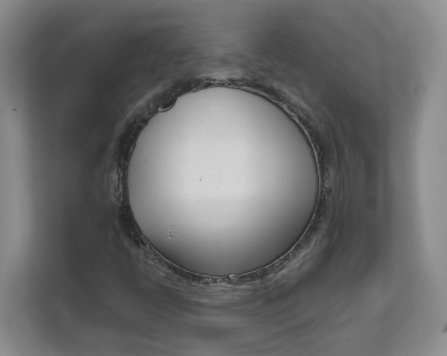 X0000111621398200908071341