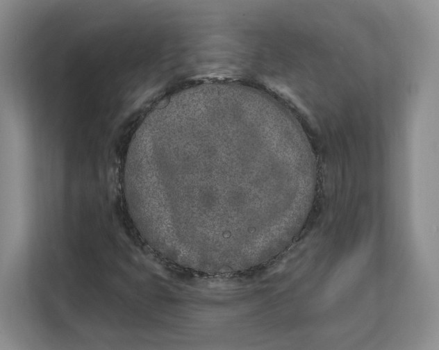 X0000111621399200908071341