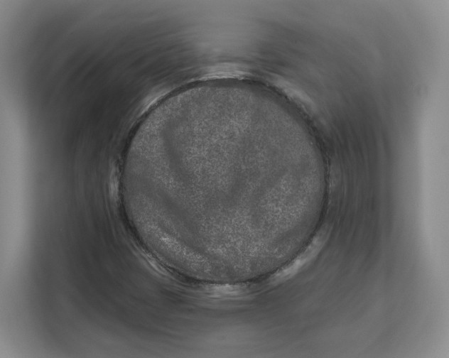 X0000111621401200908071341