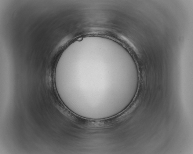 X0000111621403200908071341