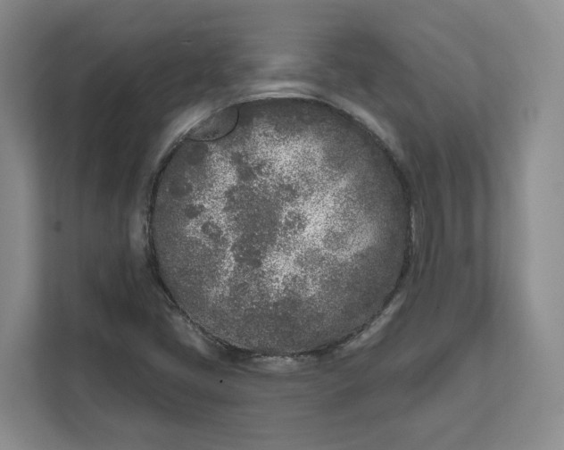 X0000111621405200908071341