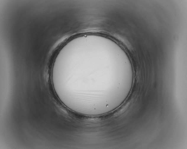 X0000111621406200908071341