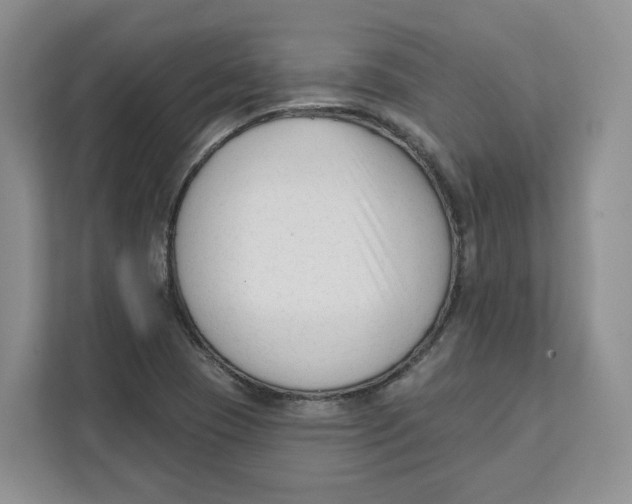 X0000111621409200908071341