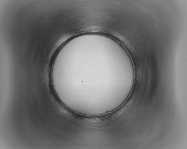 X0000111621410200908071341