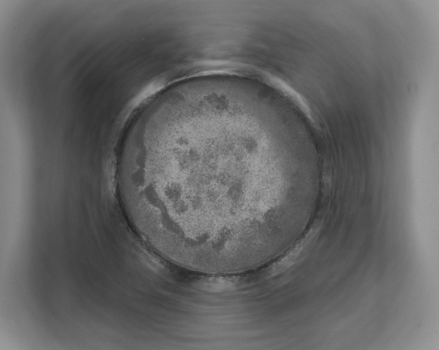 X0000111621411200908071341