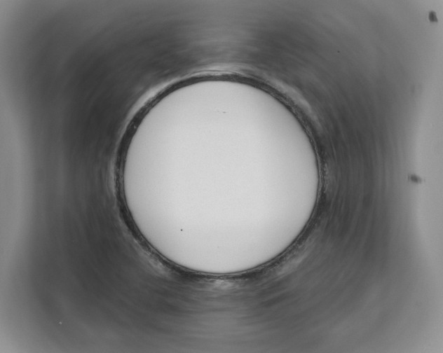 X0000111621412200908071341