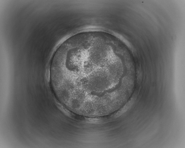 X0000111621413200908071341