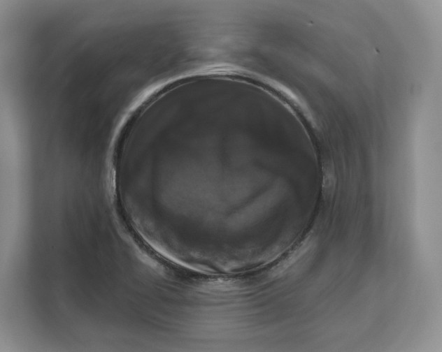 X0000111621414200908071341