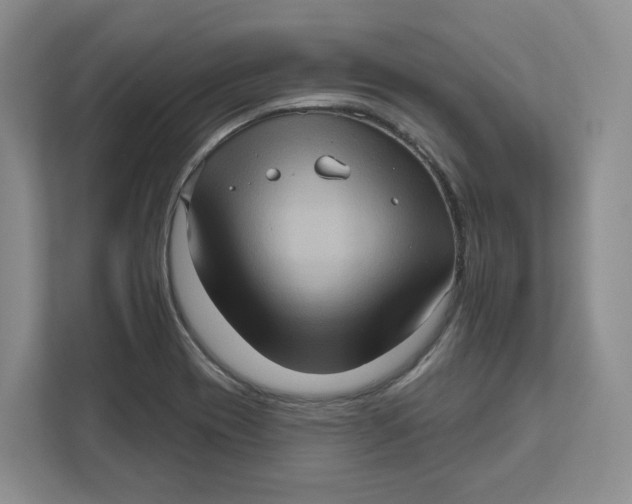 X0000111621417200908071341