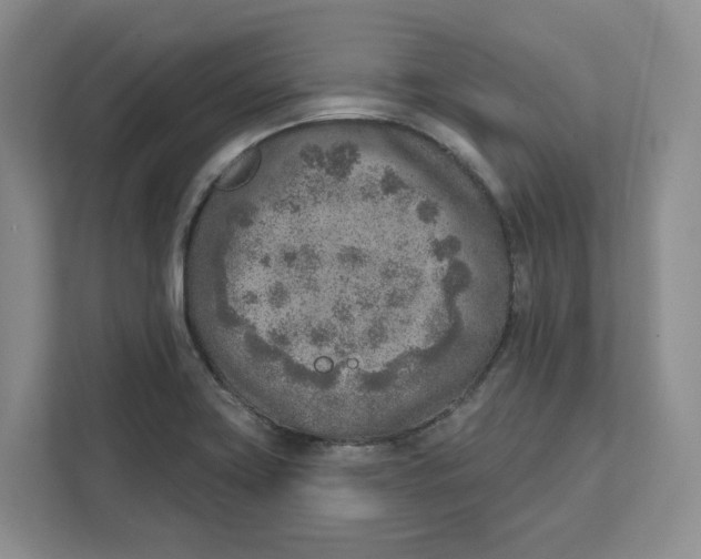 X0000111621419200908071342