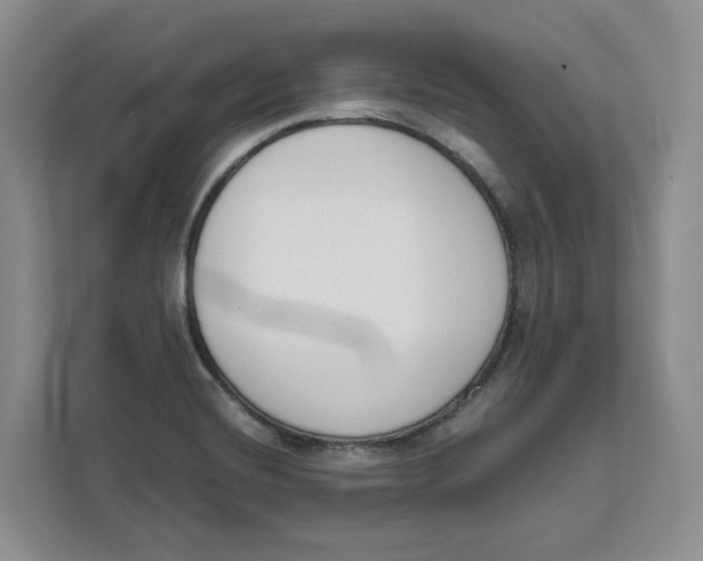 X0000111621420200908071342