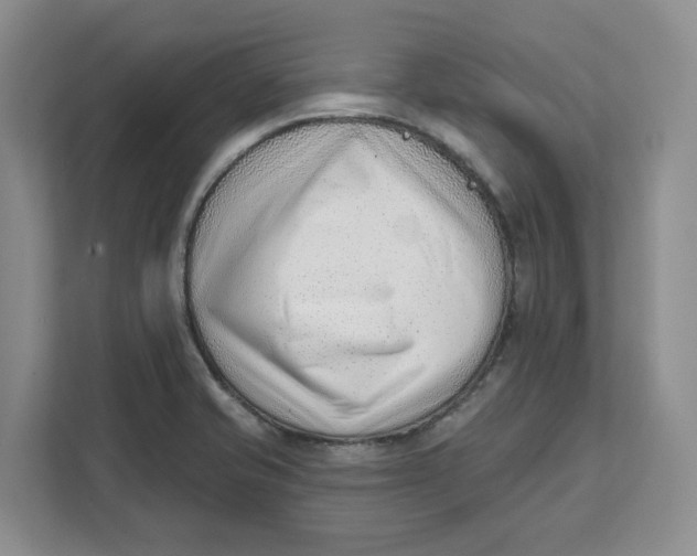 X0000111621421200908071342