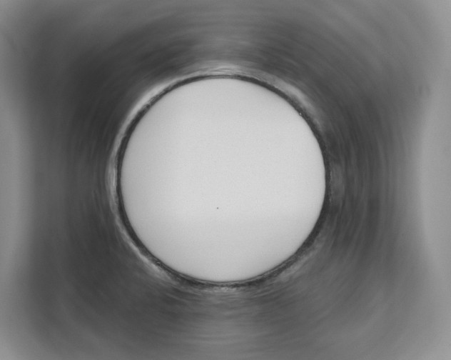 X0000111621424200908071342