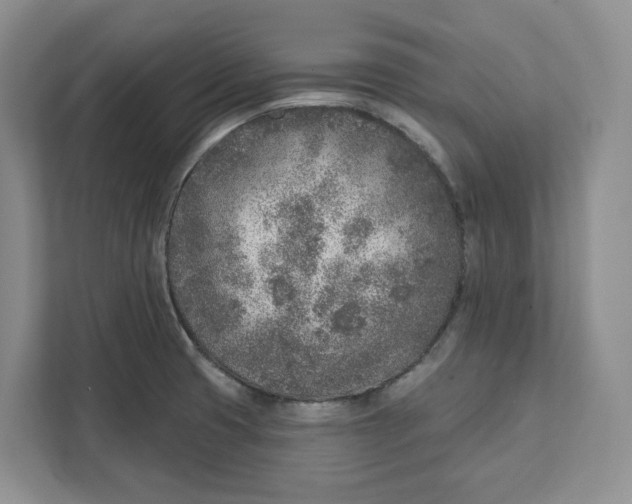 X0000111621425200908071342