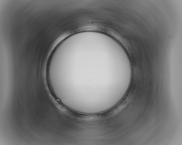 X0000111621426200908071342