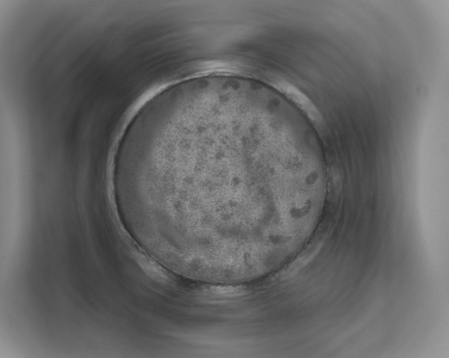 X0000111621427200908071342