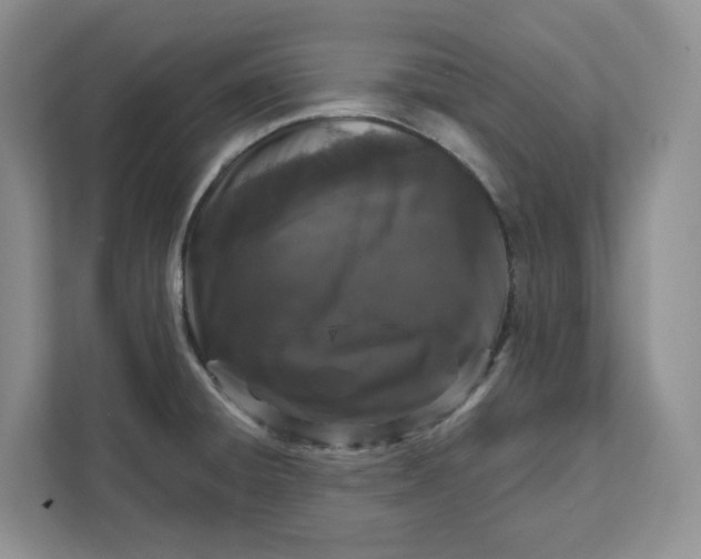 X0000111621428200908071342