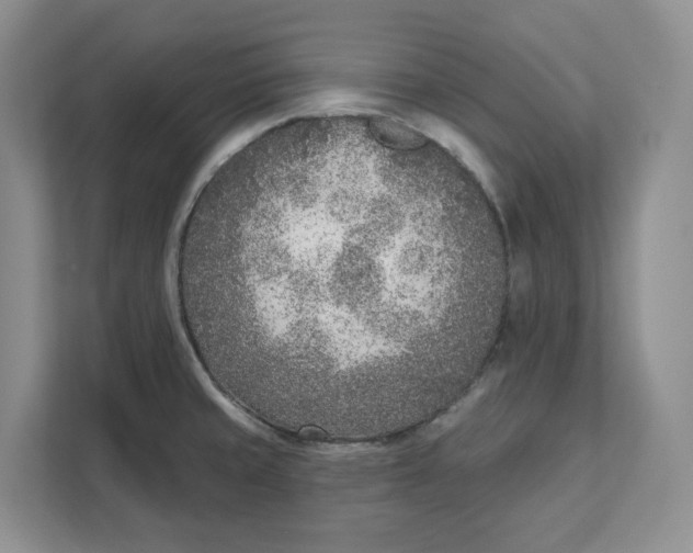 X0000111621429200908071342