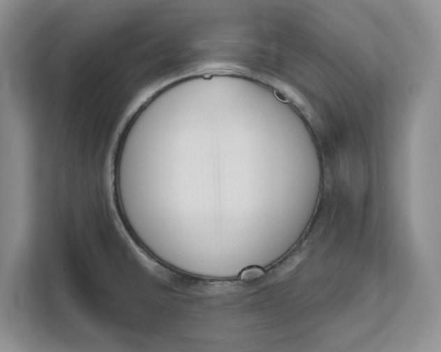 X0000111621430200908071342