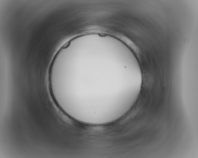 X0000111621431200908071342