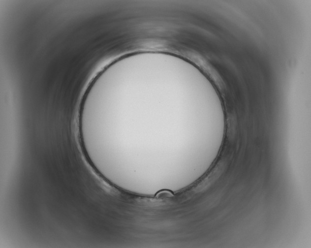 X0000111621432200908071342