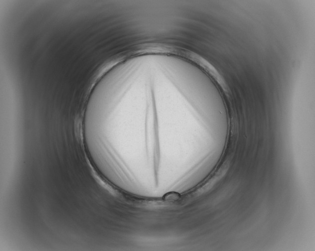 X0000111621433200908071342