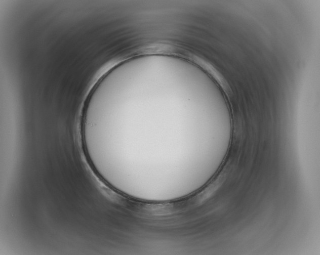 X0000111621434200908071342