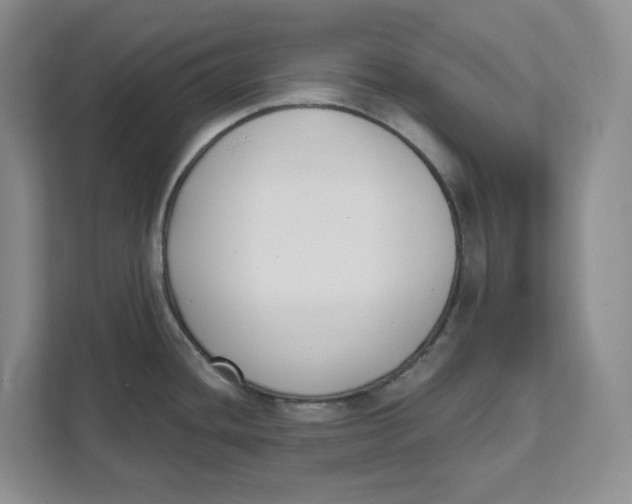 X0000111621436200908071342