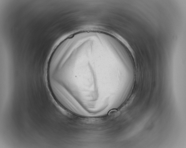 X0000111621437200908071342