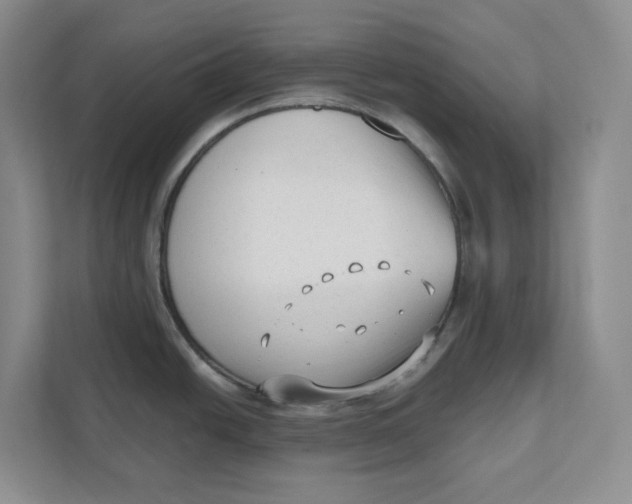 X0000111621438200908071342