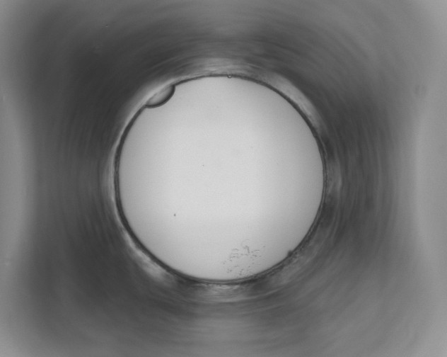 X0000111621439200908071342