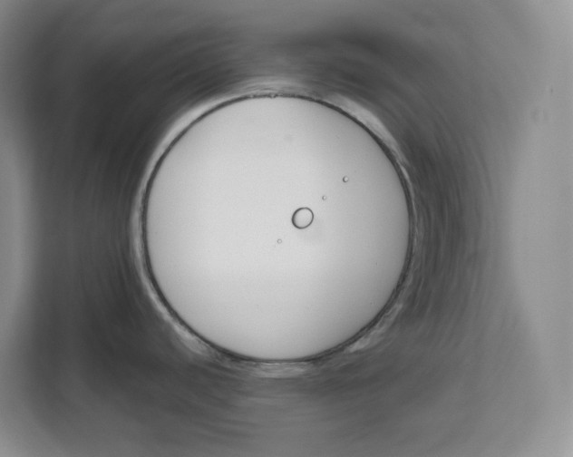 X0000111621440200908071342