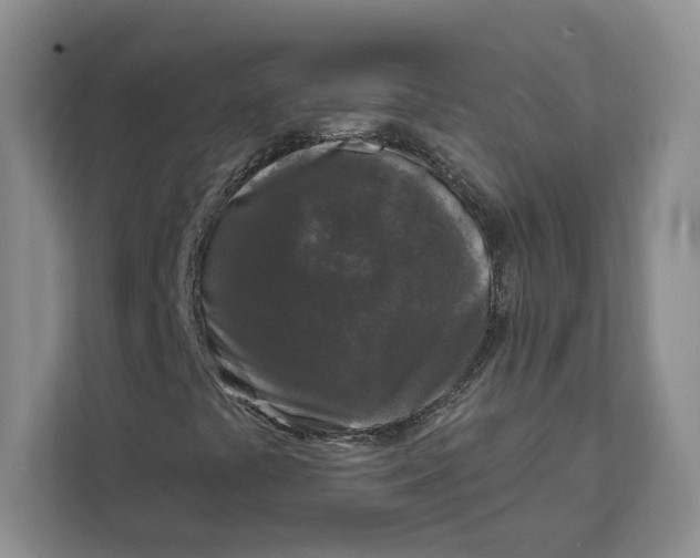 X0000111621441200908071341