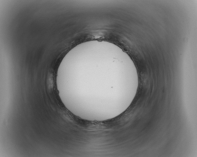 X0000111621442200908071341