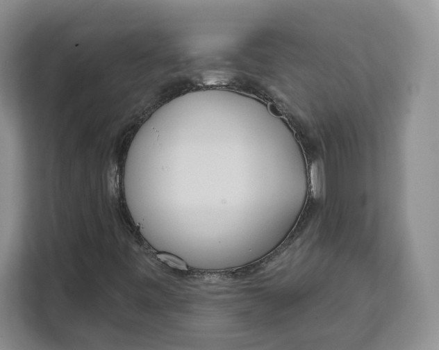 X0000111621443200908071341