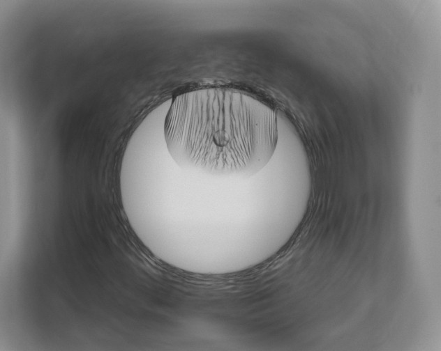 X0000111621444200908071341