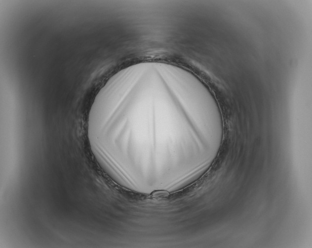 X0000111621447200908071341