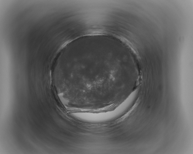 X0000111621449200908071341