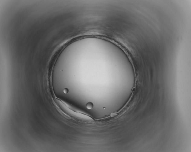 X0000111621452200908071341