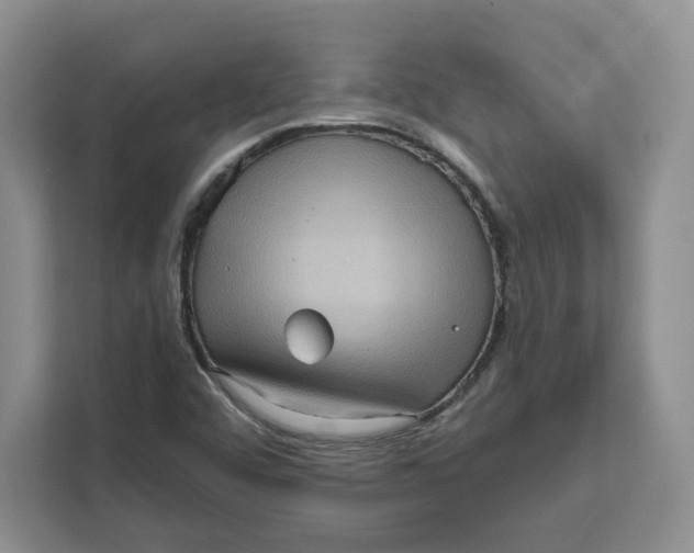 X0000111621456200908071341