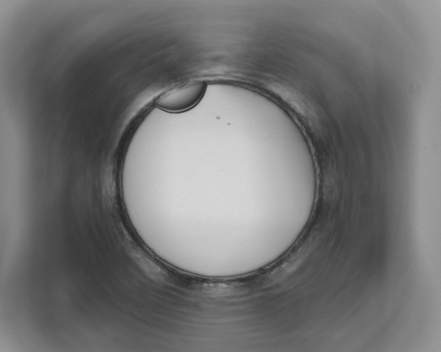 X0000111621458200908071341