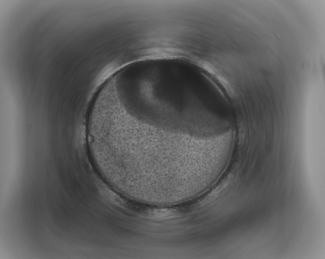 X0000111621459200908071341