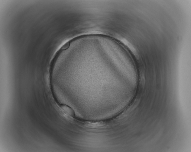 X0000111621460200908071341