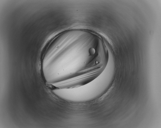 X0000111621461200908071341