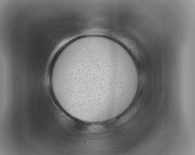 X0000111621462200908071341