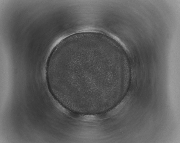 X0000111621463200908071341