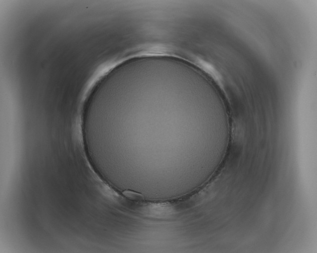 X0000111621464200908071341