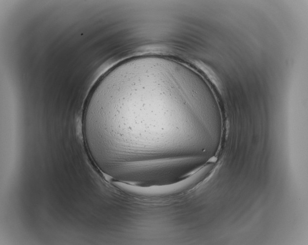 X0000111621465200908071341